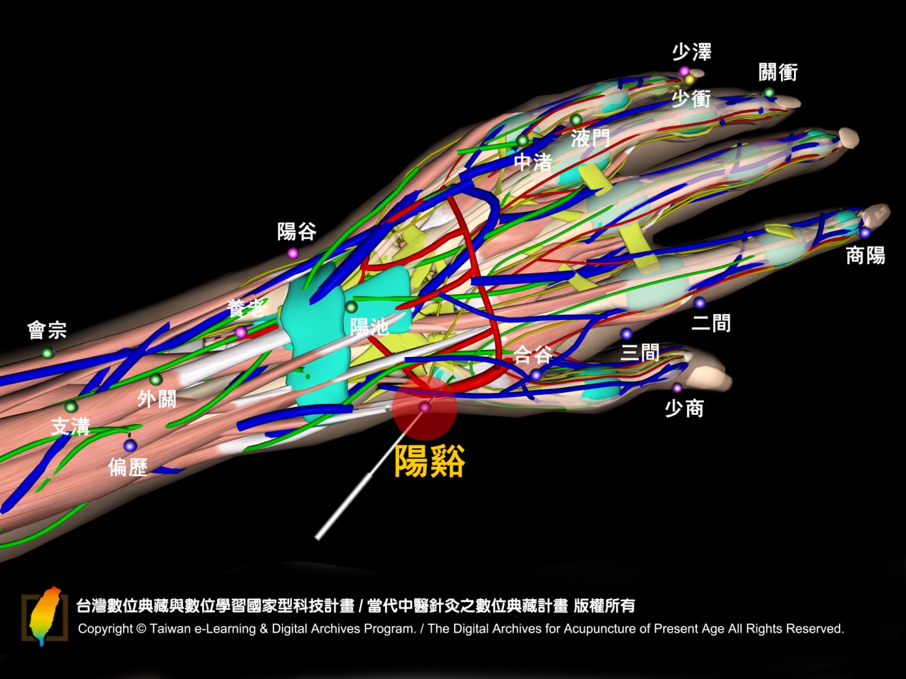 The Art Of Acupuncture — The Digital Archives Of Contemporary Chinese ...